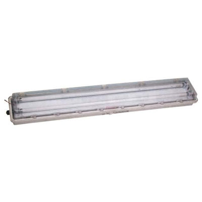 bys-dip series dust explosion-proof anticorrosive full-speed fluorescent lamp (dipa20)