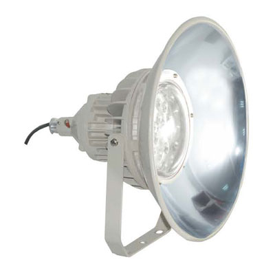 bzd122 series explosion-proof maintenance-free led project lamp