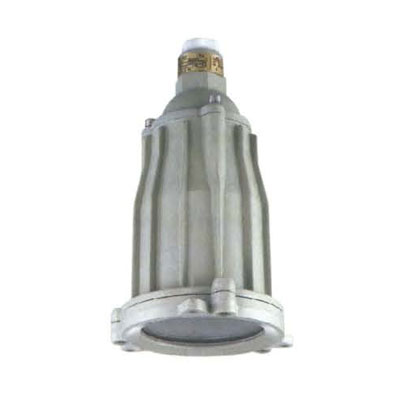 bsd explosion-proof inspection hole lamp