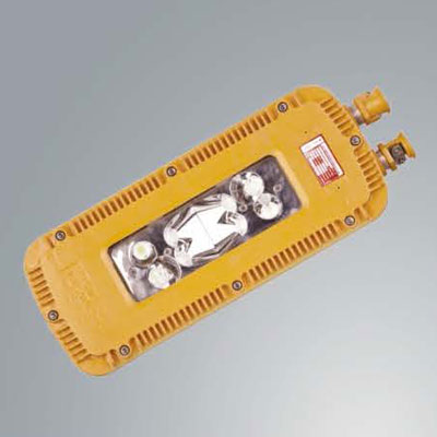 dgs24/36/48/127l(a) mining flameproof led roadway light